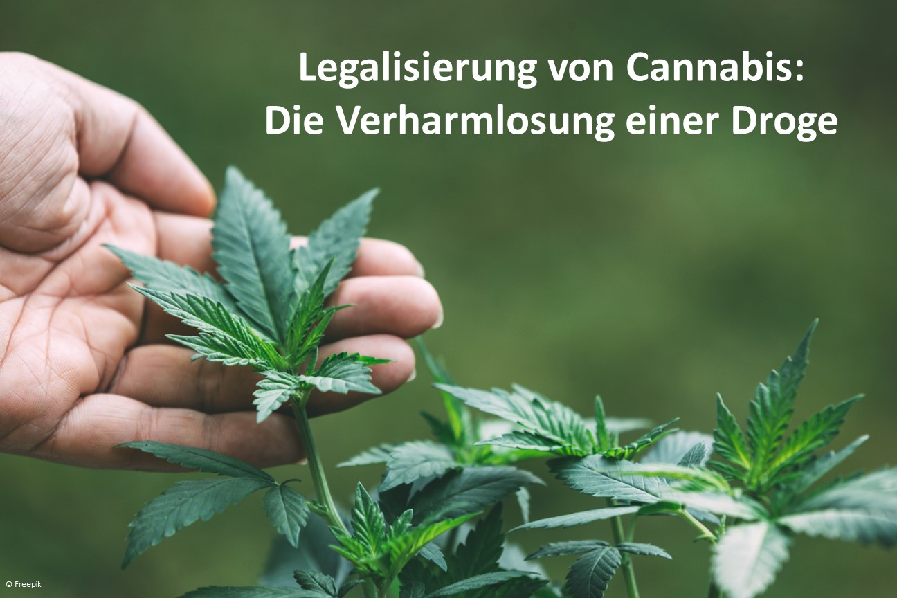 Legalisierung von Cannabis: Die Verharmlosung einer Droge.